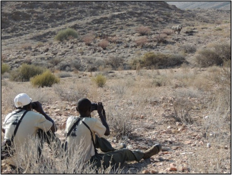 Save The Rhino Rhino Pride & Rhino Rangers Programmes