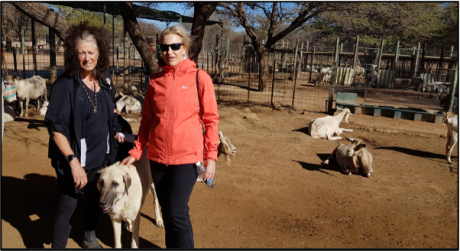 CHEETAH CONSERVATION FUND (OTJIWARONGO,OTJOZONDJUPA) FARMERS FOR AFRICA