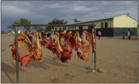 Drought relief – cash for carcass initiative Kunene